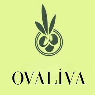 Ovaliva