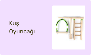 Kuş Oyuncağı