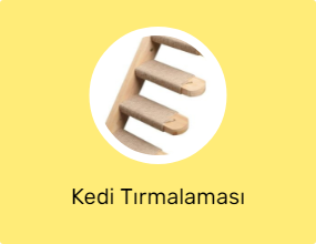 Kedi Tırmalaması