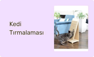 Kedi Tırmalaması