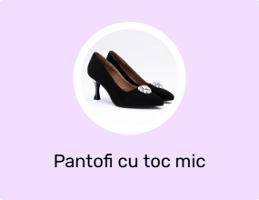 Pantofi cu toc mic