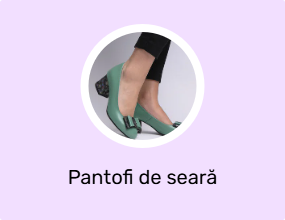 Pantofi de seară