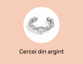 Cercei din argint
