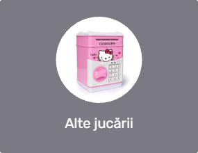 Alte jucării