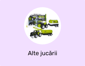Alte jucării