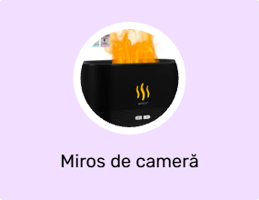 Miros de cameră