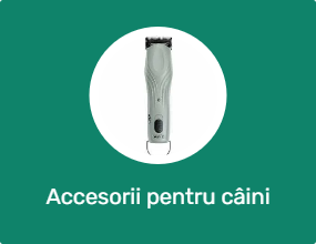 Accesorii pentru câini