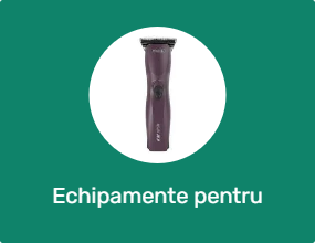 Echipamente pentru îngrijirea cailor