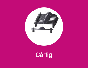 Cârlig