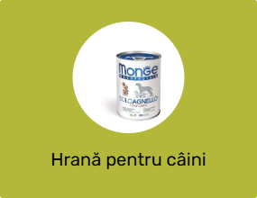 Hrană pentru câini