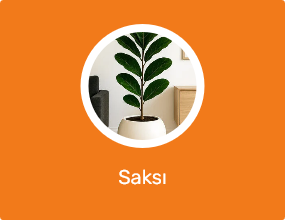 Saksı