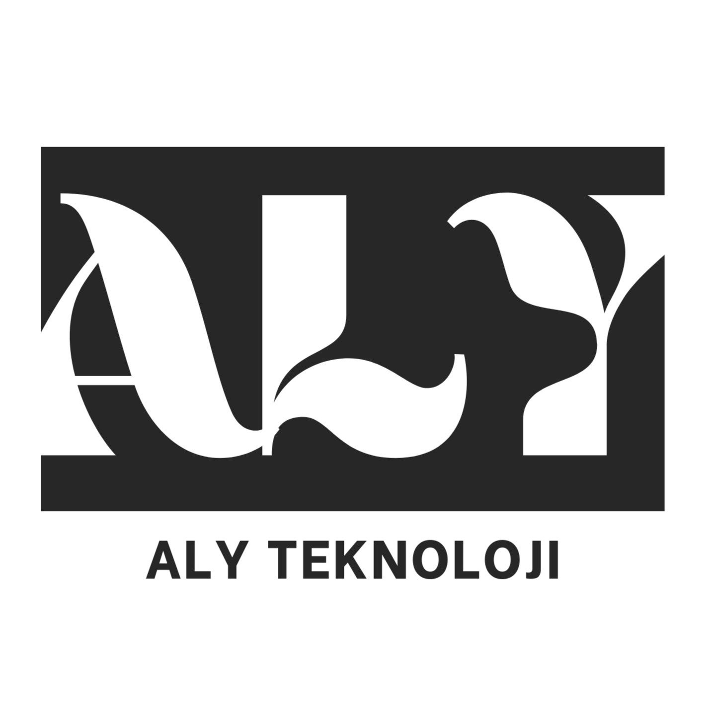 Aly Teknoloji