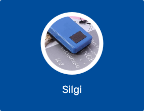 Silgi