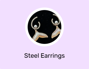 Steel Earrings