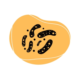 Mayata