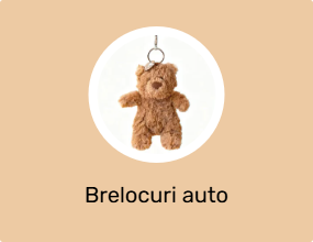 Brelocuri auto