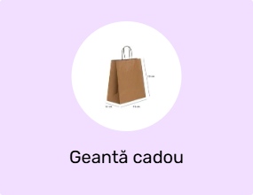 Geantă cadou