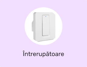 Întrerupătoare