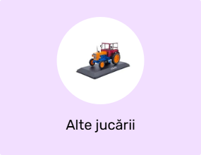 Alte jucării