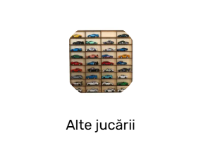 Alte jucării