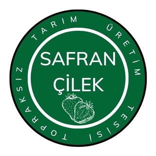 Safran Çilek