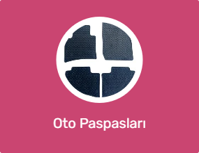 Oto Paspasları