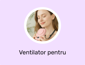 Ventilator pentru vehicule