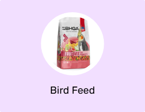 Bird Feed