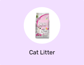 Cat Litter