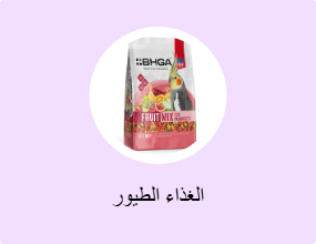 الغذاء الطيور