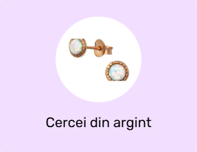 Cercei din argint