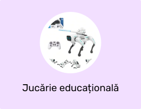 Jucărie educațională