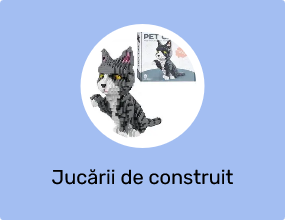 Jucării de construit
