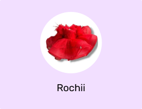 Rochii