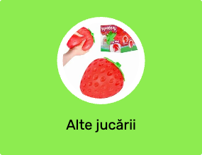 Alte jucării