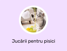 Jucării pentru pisici