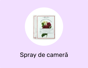 Spray de cameră