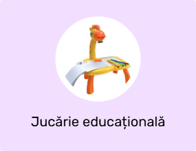 Jucărie educațională