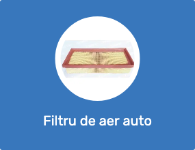 Filtru de aer auto