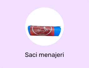 Saci menajeri