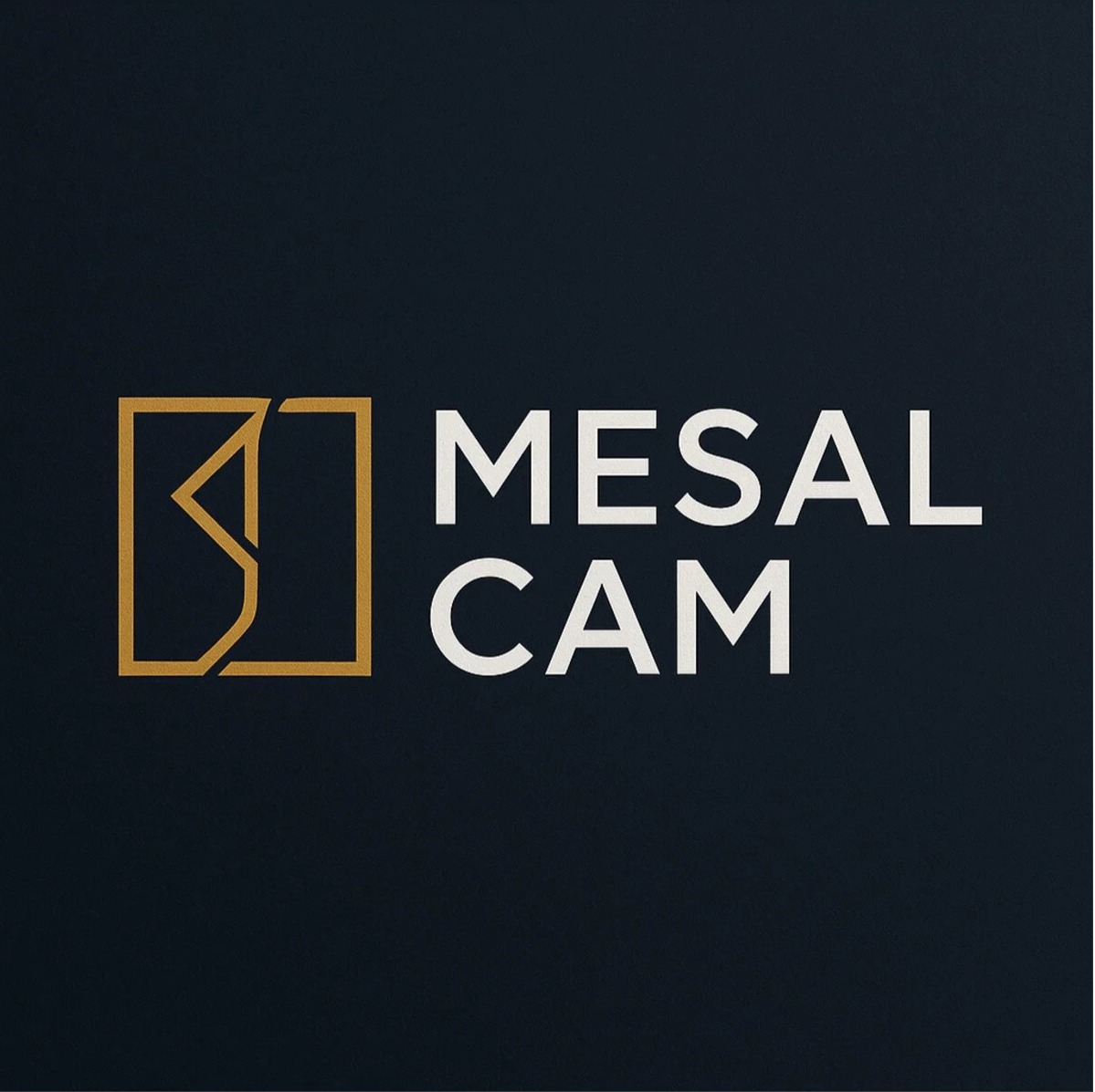 MESAL CAM