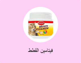 فيتامين القطط