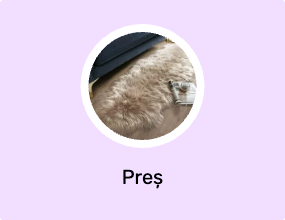 Preș