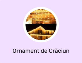 Ornament de Crăciun