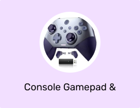 Console Gamepad & Joystick