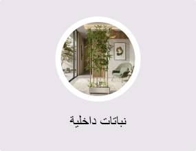 نباتات داخلية