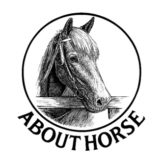 Abouthorse
