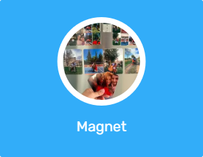 Magnet
