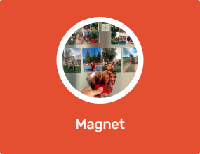 Magnet