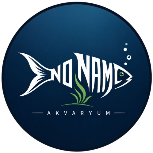NO NAME  AKVARYUM